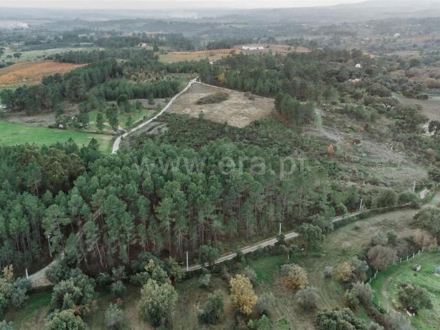 Terreno venda em Castelo Branco, Aldeia Nova Do Cabo