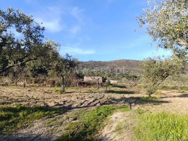 Terreno venda em Castelo Branco, Aldeia Nova Do Cabo
