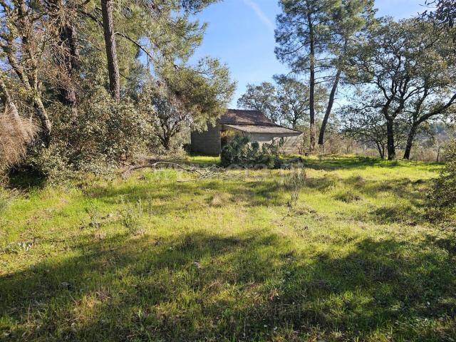 Terreno venda em Castelo Branco, Aldeia Nova Do Cabo