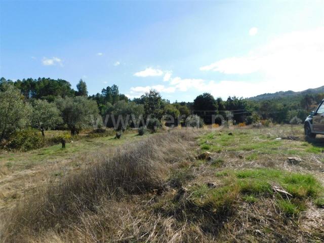 Terreno venda em Castelo Branco, Aldeia Nova Do Cabo
