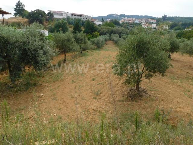 Terreno venda em Castelo Branco, Aldeia Nova Do Cabo