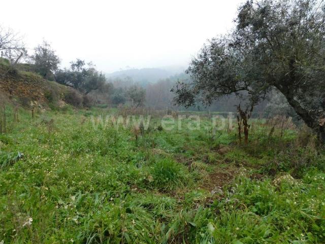Terreno venda em Castelo Branco, Aldeia Nova Do Cabo