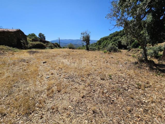 Terreno venda em Castelo Branco, Aldeia Nova Do Cabo