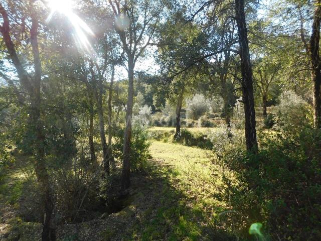 Terreno venda em Castelo Branco, Aldeia Nova Do Cabo