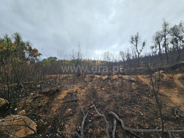 Terreno venda em Castelo Branco, Aldeia Nova Do Cabo