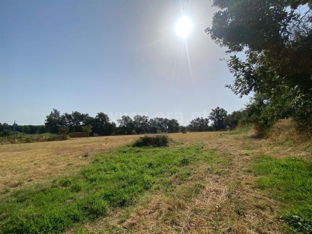 Terreno venda em Castelo Branco, Aldeia Nova Do Cabo