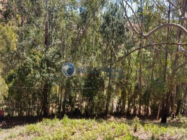 Terreno venda em Região Geográfica Imediata de São Lourenço, Pouso Alto