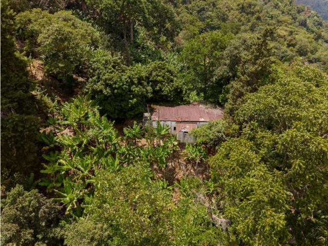 Terreno en venta en La Guaira, Municipio Vargas