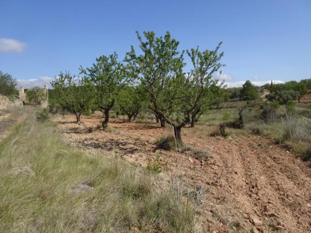 Terreno en venta en Terra Alta, Catalunya