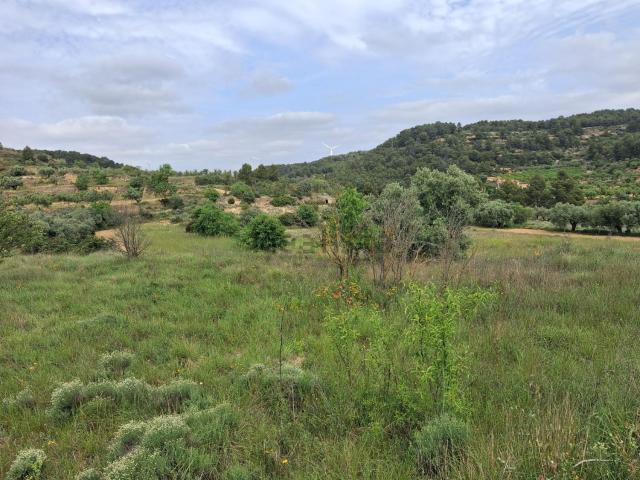 Terreno en venta en Terra Alta, Catalunya