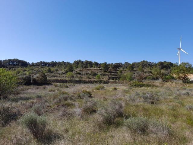 Terreno en venta en Terra Alta, Catalunya