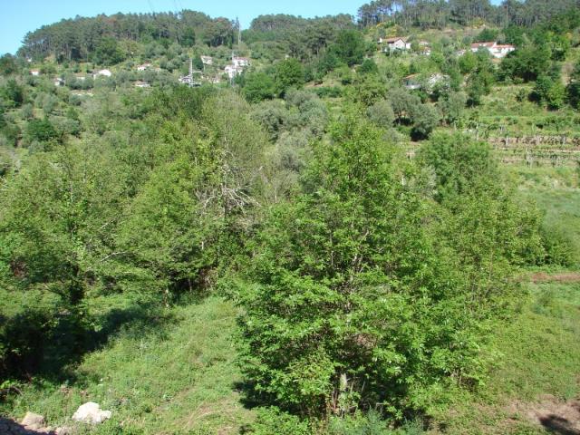 Terreno venda em Ponte De Lima, Gandra Terreno venda em Ponte De Lima, Gandra