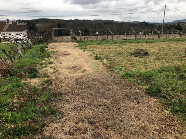 Terreno venda em Valença, Viana Do Castelo