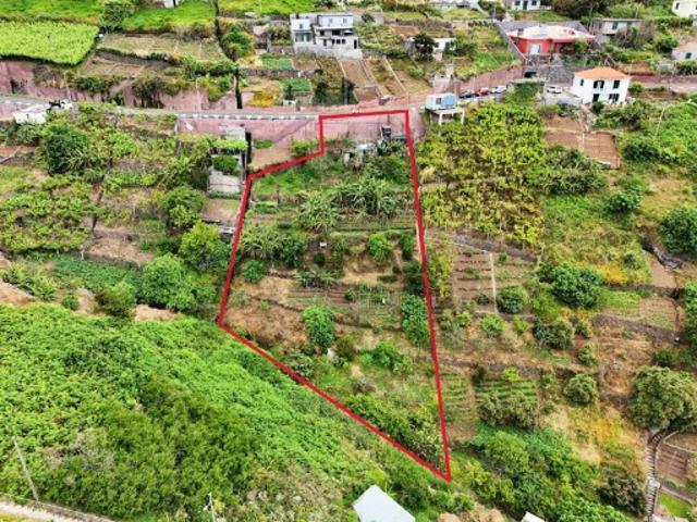 Terreno venda em Câmara De Lobos, Quinta de Santo António Terreno venda em Câmara De Lobos, Quinta de Santo António