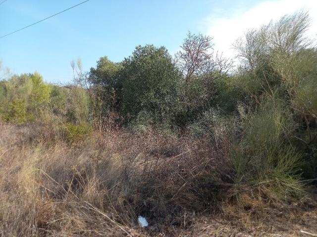 Terreno en venta en Ribera d'Ebre, Catalunya
