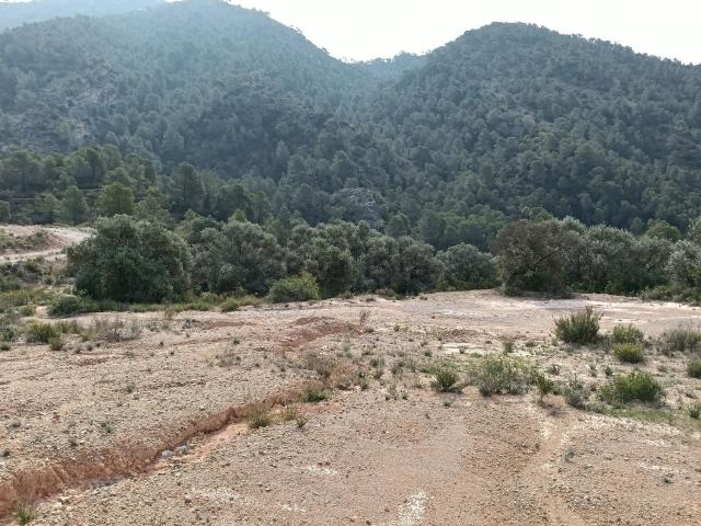 Terreno en venta en Ribera d'Ebre, Catalunya