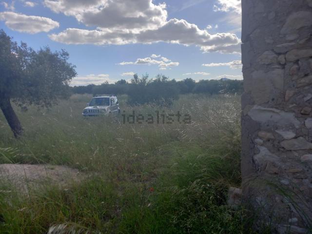 Terreno en venta en Ribera d'Ebre, Catalunya
