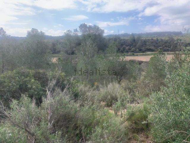 Terreno en venta en Ribera d'Ebre, Catalunya
