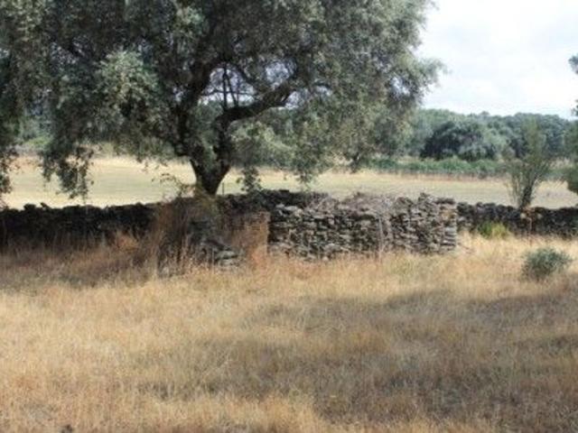 Terreno en venta en Garciaz, Extremadura