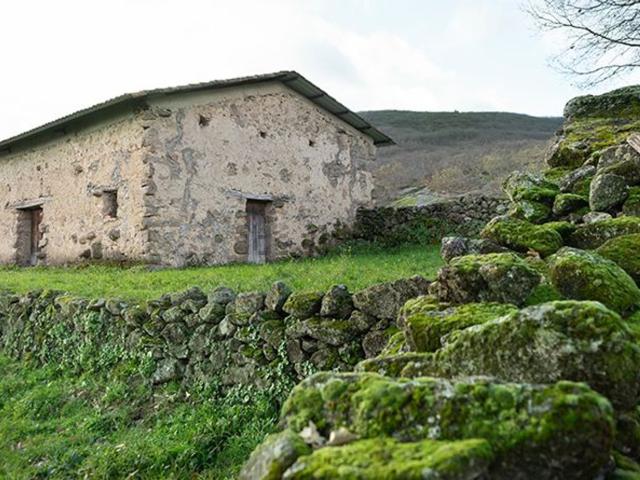 Terreno en venta en Garganta La Olla, Extremadura