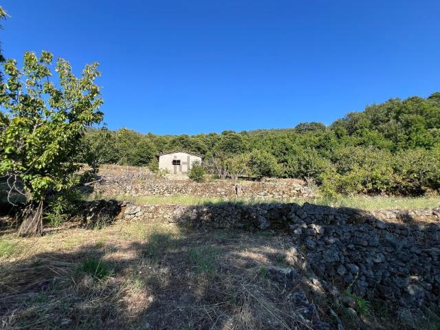 Terreno en venta en Garganta La Olla, Extremadura