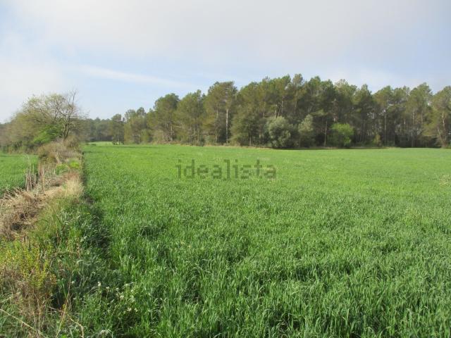 Terreno en venta en Alt Empordà, Catalunya