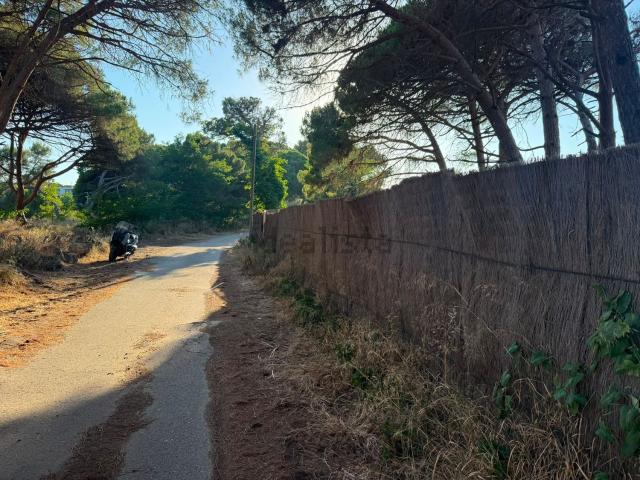 Terreno en venta en Baix Llobregat, Catalunya