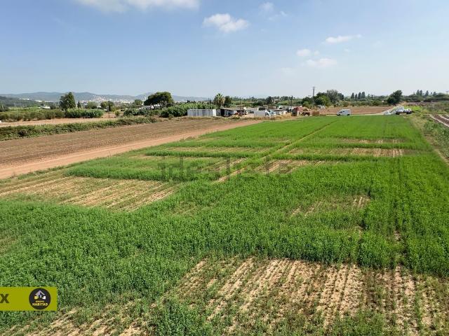 Terreno en venta en Barceloneta, Baix Llobregat
