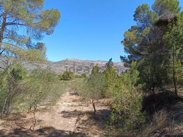 Terreno en venta en el Comtat, Valencia
