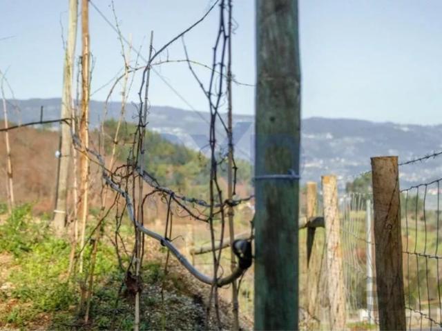 Terreno venda em Boalhosa, Viana Do Castelo