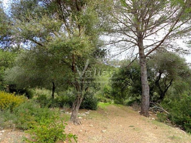 Terreno en venta en Serranía de Ronda, Andalucía