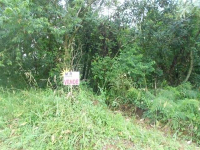 Terreno venda em Nova Petrópolis