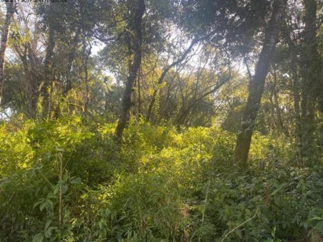 Terreno venda em Região Geográfica Imediata de Caxias do Sul, Nova Petrópolis