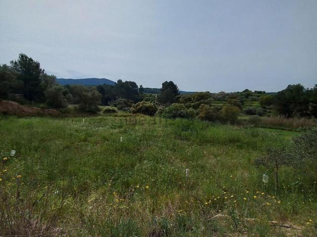 Terreno en venta en Ginestar, Tarragona