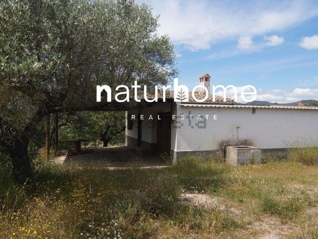 Terreno en venta en Ribera d'Ebre, Catalunya