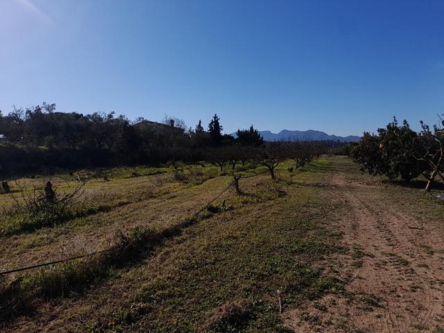 Terreno en venta en Ginestar, Tarragona