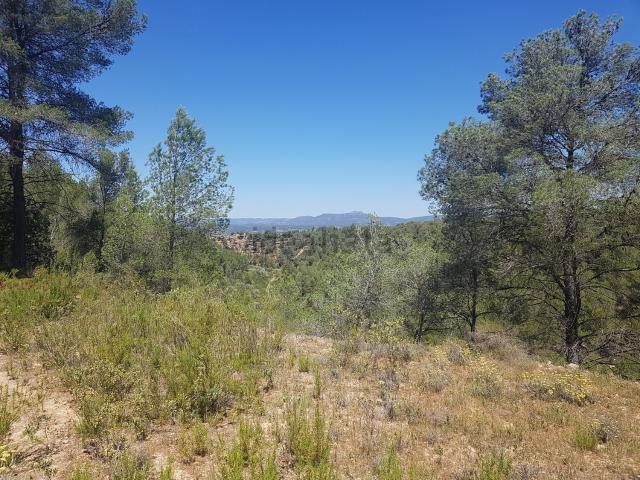 Terreno en venta en Ginestar, Tarragona