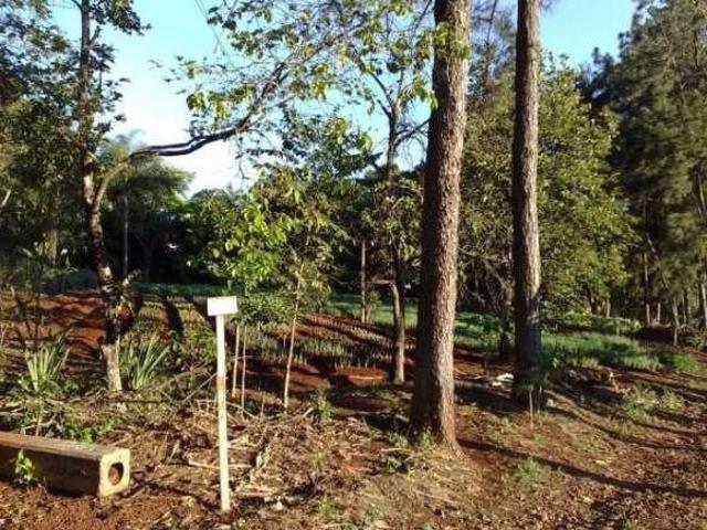 Terreno venda em Região Geográfica Imediata de Londrina, Londrina