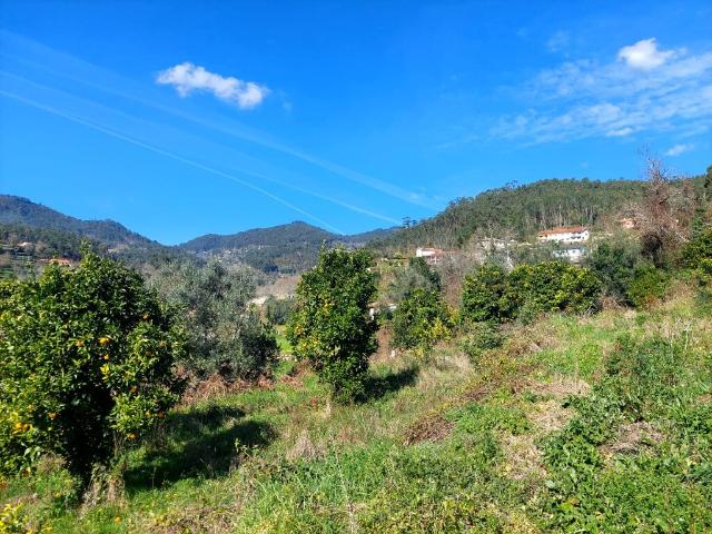 Terreno venda em Amares, Braga