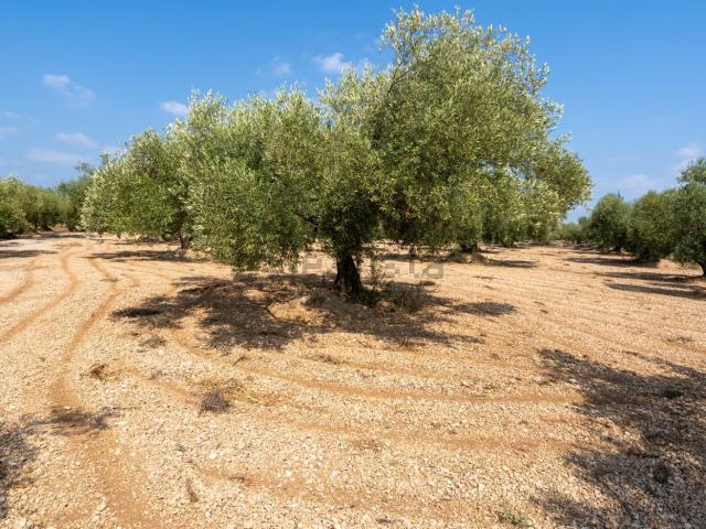 Terreno en venta en Montsià, Catalunya
