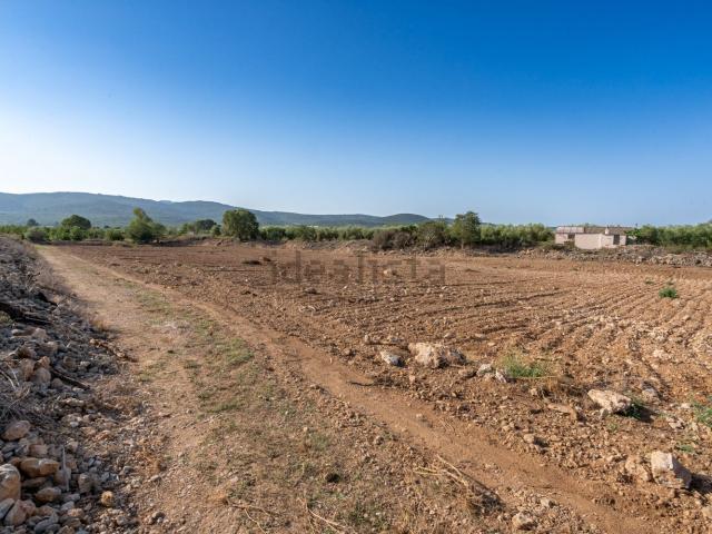Terreno en venta en Montsià, Catalunya