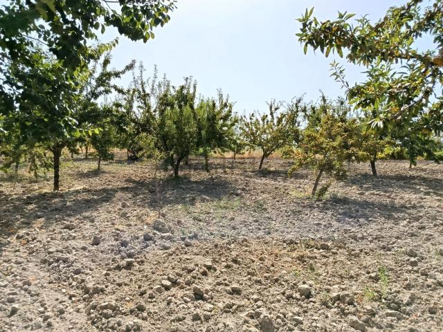 Terreno en venta en Comarca de la Vega de Granada, Andalucía