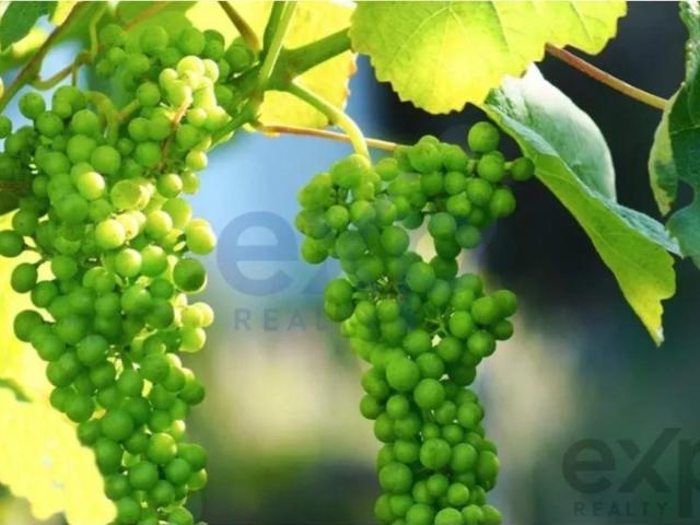 Terreno venda em Boalhosa, Viana Do Castelo