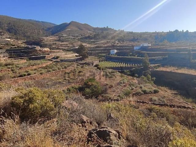 Terreno en venta en Charco del Pino, Granadilla de Abona