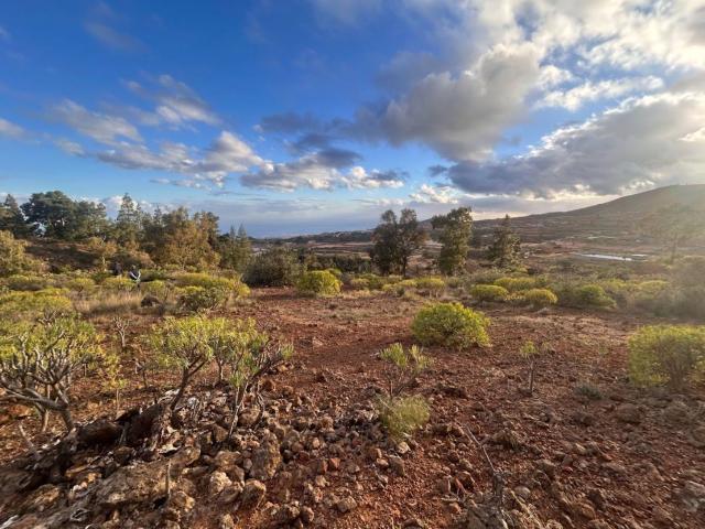 Terreno en venta en Cruz de Tea, Granadilla de Abona