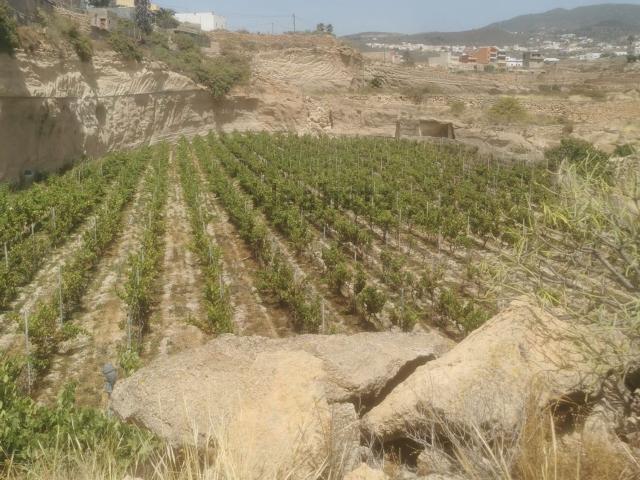 Terreno en venta en Los Cuervos, Granadilla de Abona