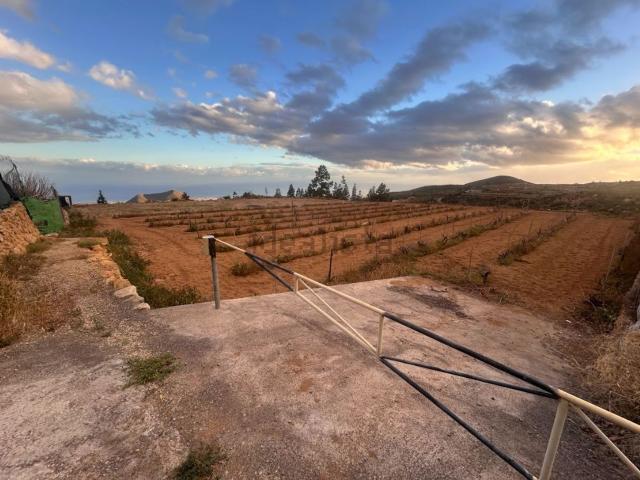 Terreno en venta en Cruz de Tea, Granadilla de Abona