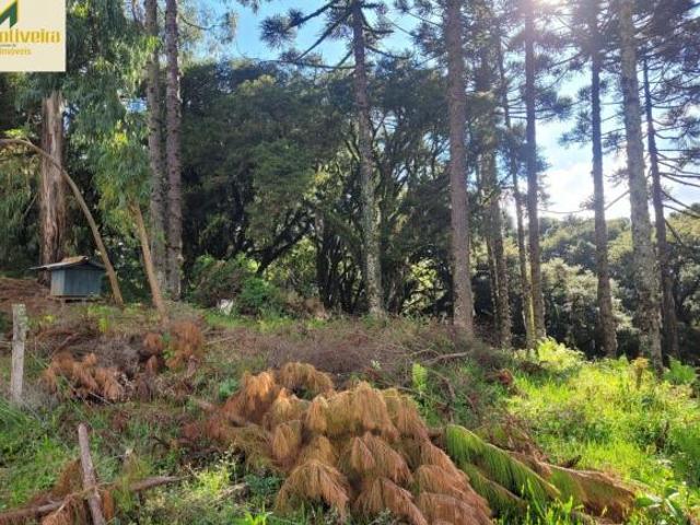 Terreno venda em Região Geográfica Imediata de Caxias do Sul, Canela