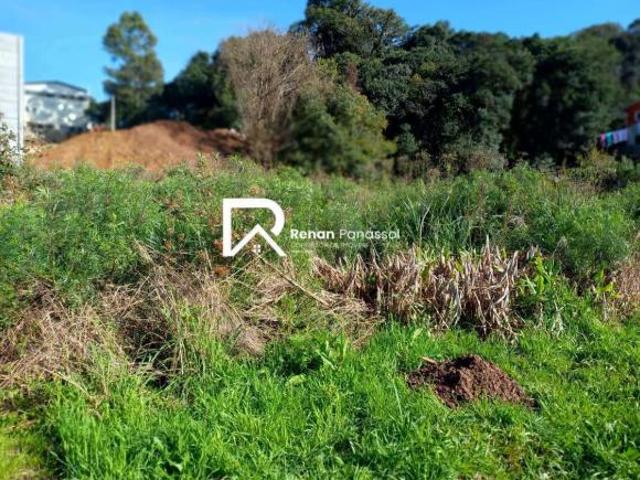 Terreno venda em Região Geográfica Imediata de Caxias do Sul, Caxias do Sul
