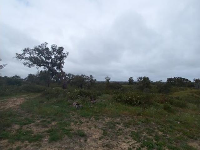 Terreno venda em Grândola e Santa Margarida da Serra, Grândola